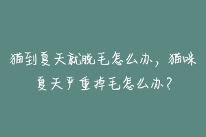猫到夏天就脱毛怎么办,猫咪夏天严重掉毛怎么办?