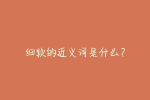 细软的近义词是什么?