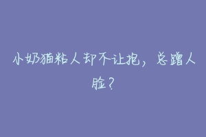 小奶猫粘人却不让抱,总蹭人脸?