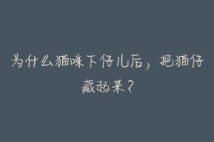 为什么猫咪下仔儿后，把猫仔藏起来？