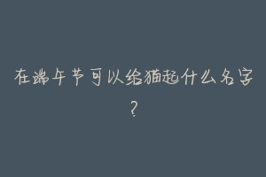 在端午节可以给猫起什么名字?