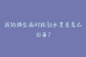我的猫生病时跑到水里是怎么回事?