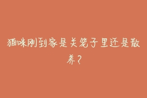 猫咪刚到家是关笼子里还是散养?