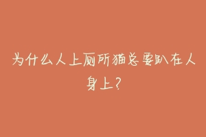 为什么人上厕所猫总要趴在人身上?