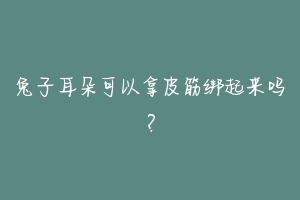 兔子耳朵可以拿皮筋绑起来吗?