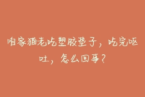 咱家猫老吃塑胶垫子,吃完呕吐,怎么回事?