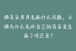 猫耳朵痒痒老挠什么问题,小猫为什么老抓自己的耳朵是生病了吗还是?