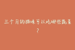 三个月的猫咪可以吃哪些蔬菜?
