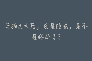 母猫长大后,总是睡觉,是不是怀孕了?