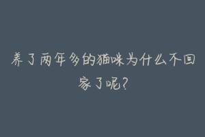 养了两年多的猫咪为什么不回家了呢?