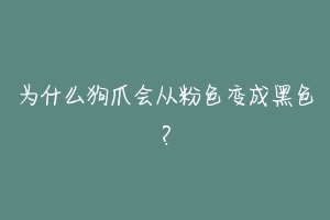 为什么狗爪会从粉色变成黑色?