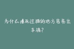 为什么撞死过猫的地方容易出车祸？