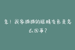 急!我家猫猫的眼睛变色是怎么回事?