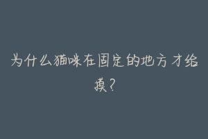 为什么猫咪在固定的地方才给摸?