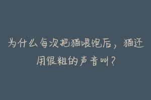 为什么每次把猫喂饱后,猫还用很粗的声音叫?
