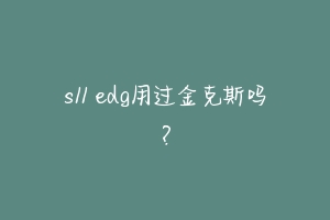 s11 edg用过金克斯吗?