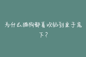 为什么猫狗都喜欢钻到桌子底下？