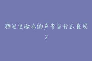 猫发出嗷呜的声音是什么意思?