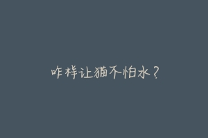 咋样让猫不怕水？