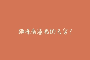猫咪高逼格的名字?