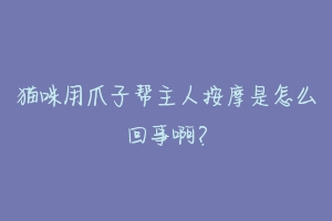 猫咪用爪子帮主人按摩是怎么回事啊?