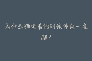 为什么猫坐着的时候伸直一条腿?