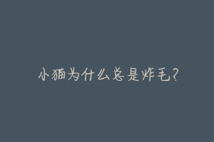 小猫为什么总是炸毛?