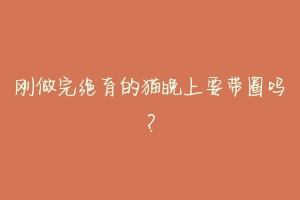 刚做完绝育的猫晚上要带圈吗?