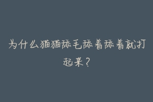 为什么猫猫舔毛舔着舔着就打起来?
