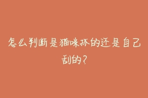 怎么判断是猫咪抓的还是自己刮的?