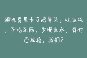 猫咪胃里卡了鸡骨头,吐血丝,不吃东西,少喝点水,有时还抽搐,我们?