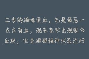 三岁的猫咪便血，先是最后一点点有血，现在竟然出现很多血块，但是猫猫精神状态还好.请问可能是什么原因？