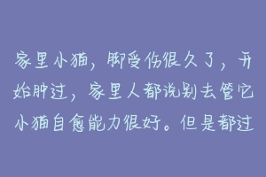 家里小猫，脚受伤很久了，开始肿过，家里人都说别去管它小猫自愈能力很好。但是都过了几个星期了？