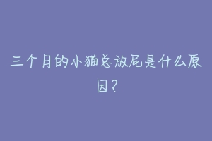三个月的小猫总放屁是什么原因？