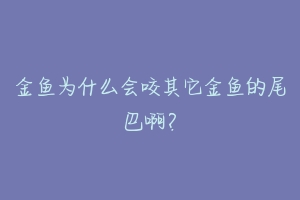 金鱼为什么会咬其它金鱼的尾巴啊？