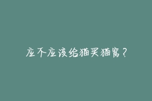 应不应该给猫买猫窝?