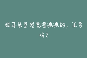 猫耳朵里感觉湿漉漉的,正常吗?
