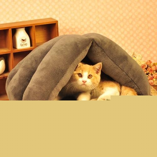 咨询养猫人士，需要准备猫窝给猫睡觉么？