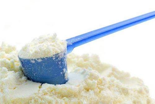 小猫得了猫鼻支怎么办？