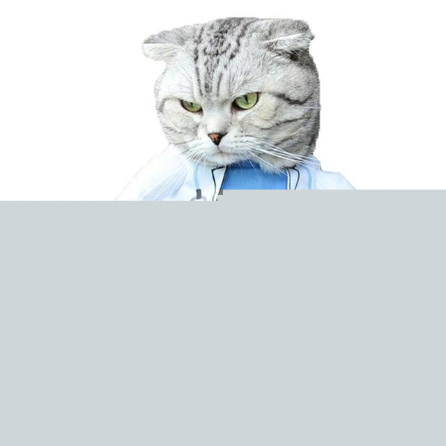 咨询养猫人士，需要准备猫窝给猫睡觉么？