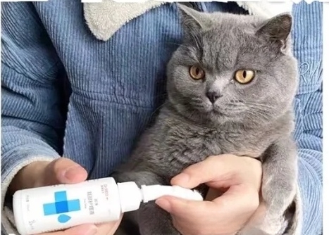 我家小猫耳朵里很脏，怎么办？