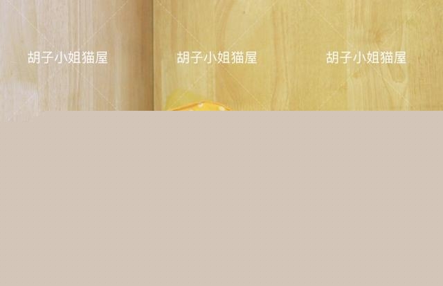 最近给猫咪买了各种猫粮，想调换着给它吃，经常换粮对猫咪好吗？