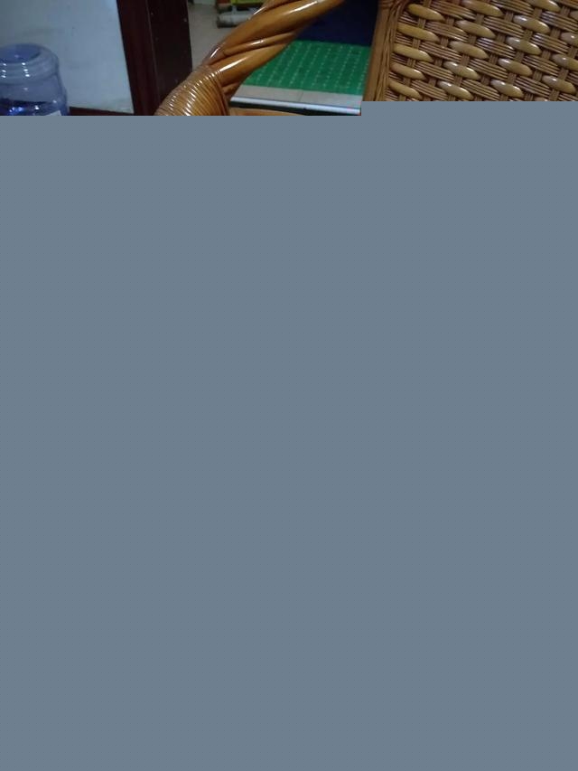 我家的小猫太活跃了,像多动症一样怎么办呀?