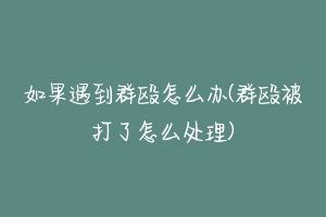 如果遇到群殴怎么办(群殴被打了怎么处理)
