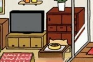 猫咪后院怎么吸引猫后院收集攻略?