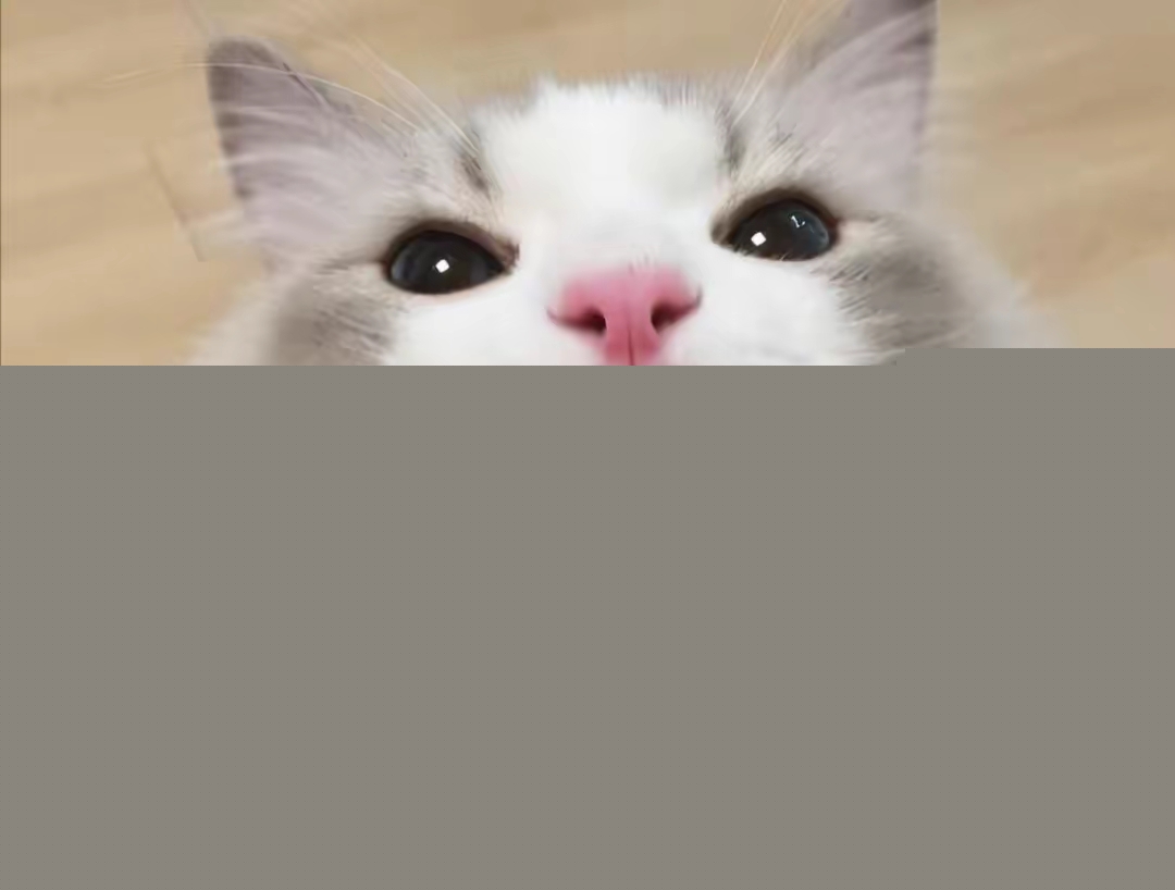 猫咪大便干燥怎么办？