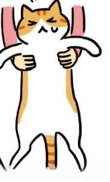 怎么判断猫咪是否信任你?