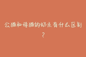 公猫和母猫的奶点有什么区别?