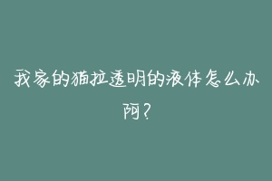 我家的猫拉透明的液体怎么办阿?