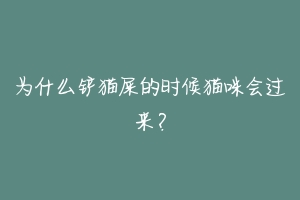 为什么铲猫屎的时候猫咪会过来?